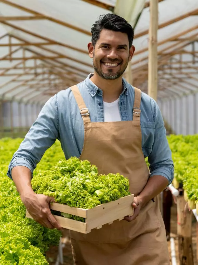 factoring company for produce companies