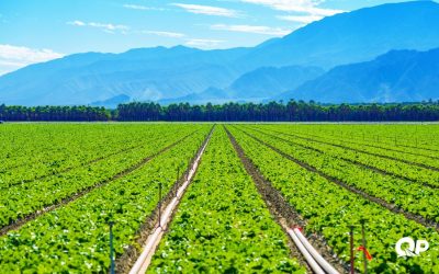 California Produce Company Secures $2MM Facility from PACA-licensed Quickpay Funding