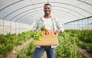 Fresh produce farmer, representing our invoice factoring services to produce wholesalers, growers, shippers, and brokers.